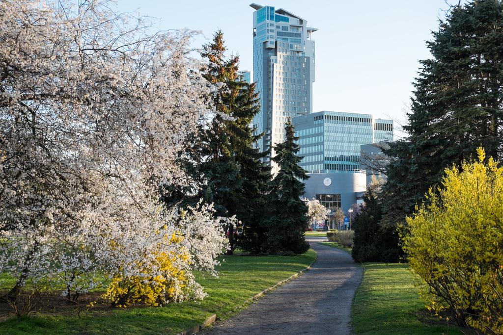 Studio Swietojanska Gdynia Rom bilde